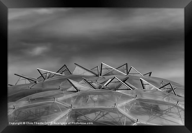 Eden Project Roof 2 Black and White Framed Print by Chris Thaxter