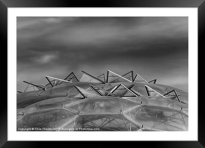 Eden Project Roof 2 Black and White Framed Mounted Print by Chris Thaxter