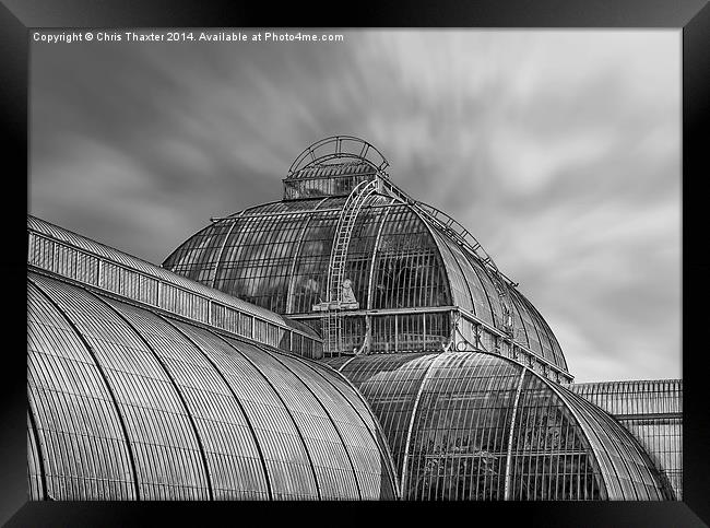 Temperate House Kew Gardens Black and White Framed Print by Chris Thaxter