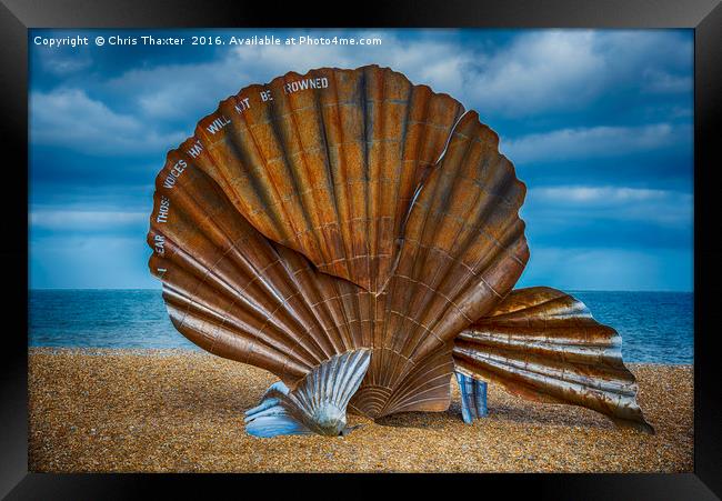 Aldeburgh Scallop Shell Framed Print by Chris Thaxter