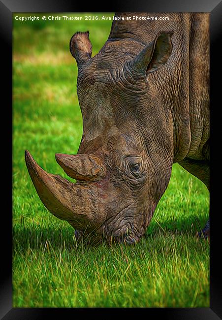 Southern White Rhinoceros Framed Print by Chris Thaxter