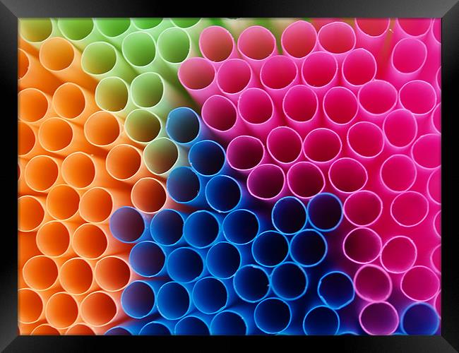 Coloured Straws Framed Print by Chris Thaxter