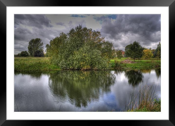 Shrub Reflection Framed Mounted Print by Chris Thaxter