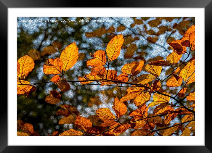 Autumns Golden Tapestry Framed Mounted Print by Chris Thaxter