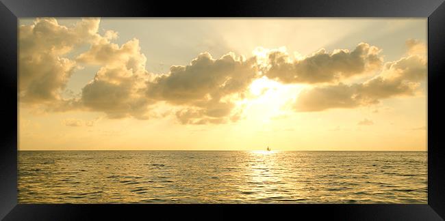 Sailing into the Sun Framed Print by Chris Thaxter