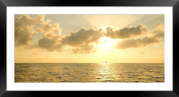 Sailing into the Sun Framed Mounted Print by Chris Thaxter
