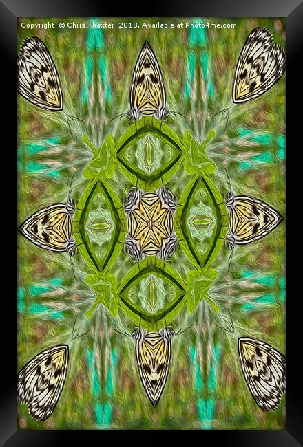 Tree Nymph kaleidoscope Framed Print by Chris Thaxter