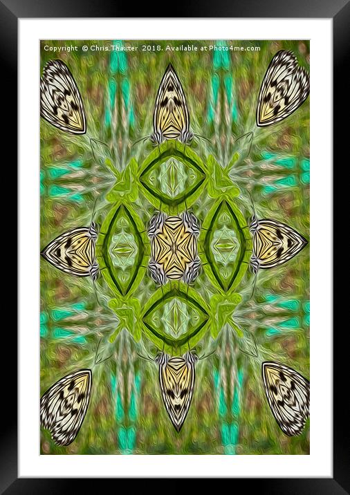 Tree Nymph kaleidoscope Framed Mounted Print by Chris Thaxter
