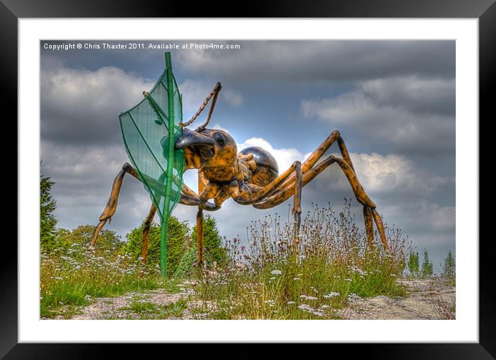 Alien Ant Framed Mounted Print by Chris Thaxter