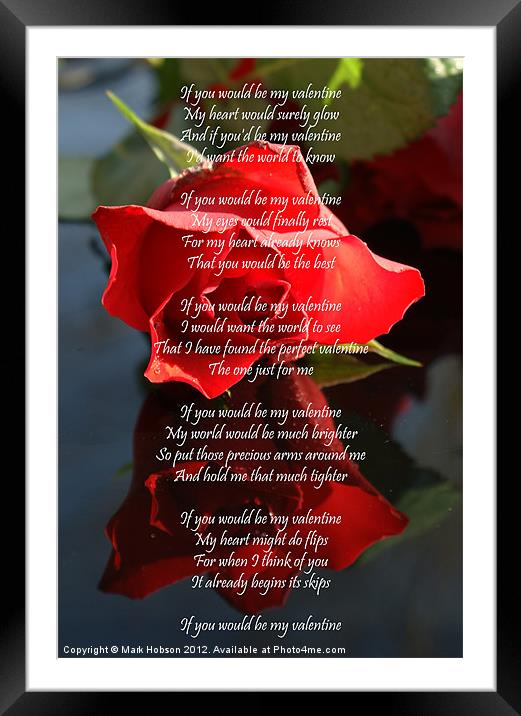 Valentine Rose Framed Mounted Print by Mark Hobson