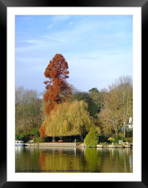 Autum Magic Framed Mounted Print by Mark Hobson