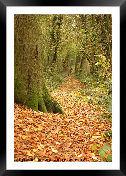 Autum Path Framed Mounted Print by Mark Hobson