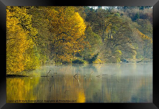 Yellow and Gold Framed Print by Mark Hobson