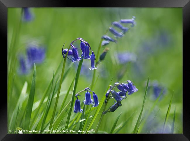 Soft Blue Framed Print by Mark Hobson