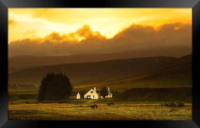 The Whitehouse Framed Print by Mark Hobson