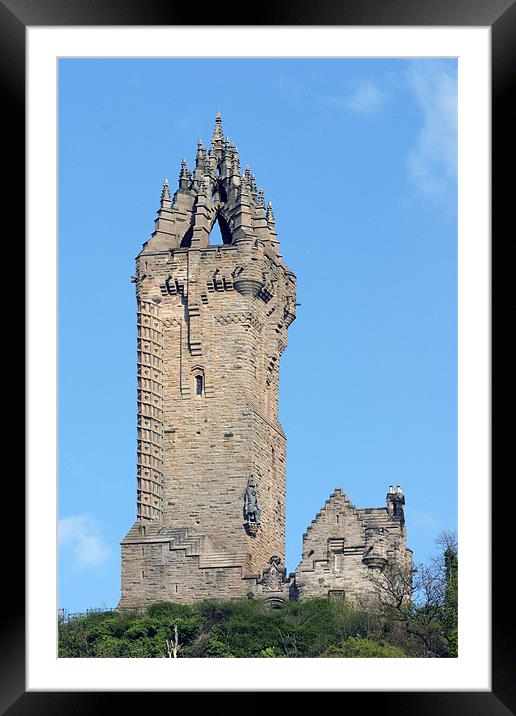 Wallace Monument Framed Mounted Print by Fiona McLellan