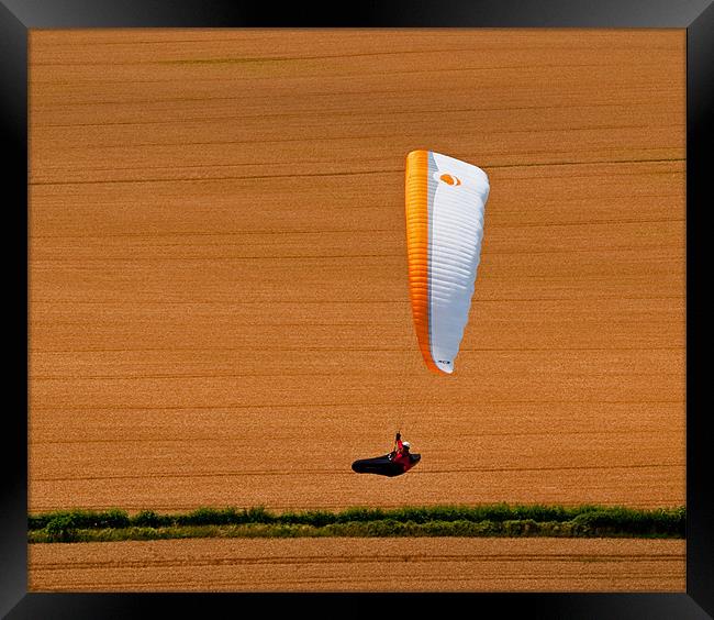 Wheat Field Paraglider Framed Print by Bel Menpes