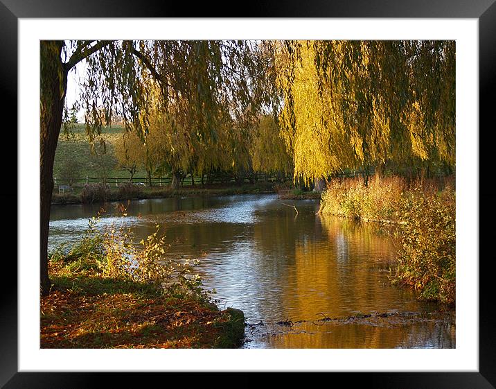 River Len in Autumn Framed Mounted Print by Bel Menpes