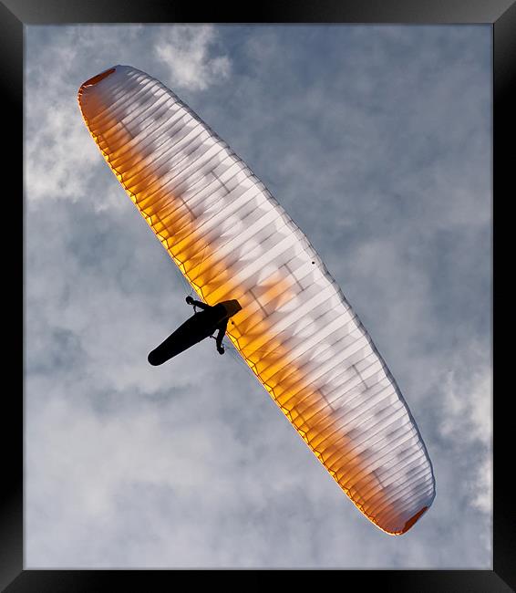 Sunlit Paraglider Framed Print by Bel Menpes