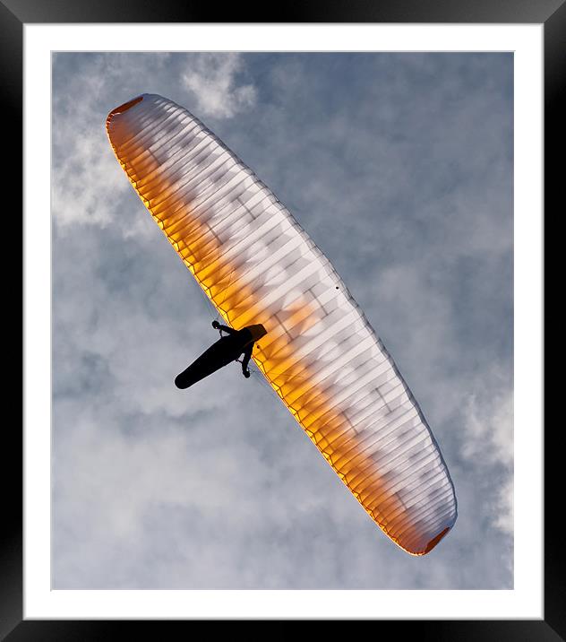 Sunlit Paraglider Framed Mounted Print by Bel Menpes