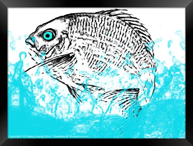 Fish Out Of Water Framed Print by Elaine Young