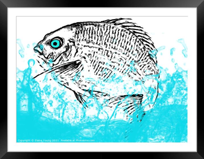 Fish Out Of Water Framed Mounted Print by Elaine Young