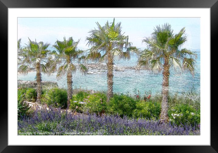 sea lined Palm Trees Framed Mounted Print by Elaine Young