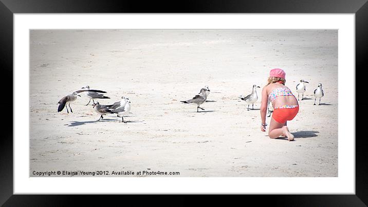 Feeding The Birds Framed Mounted Print by Elaine Young