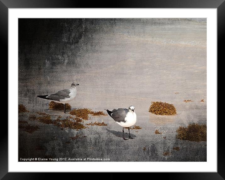 I found a friend Framed Mounted Print by Elaine Young