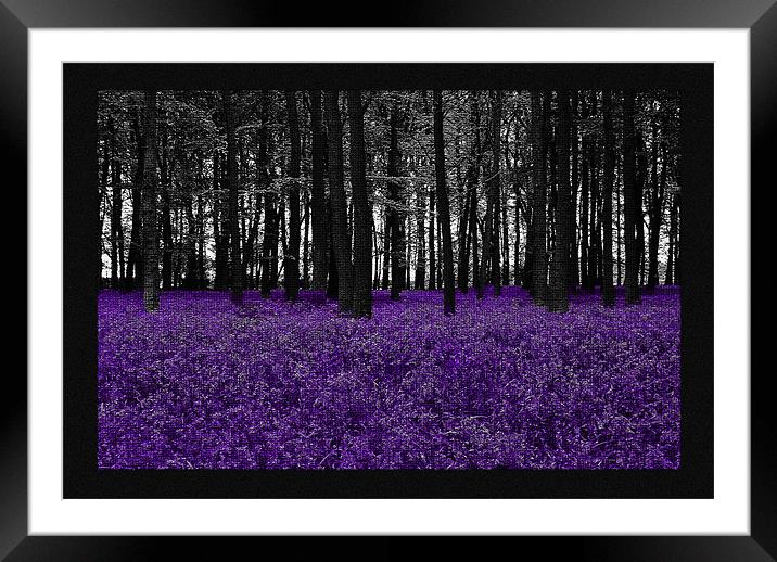 Bluebells Mosaic Framed Mounted Print by Elaine Young