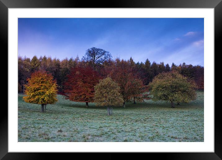  Chatsworth Houser Autumn Trees Framed Mounted Print by James Grant