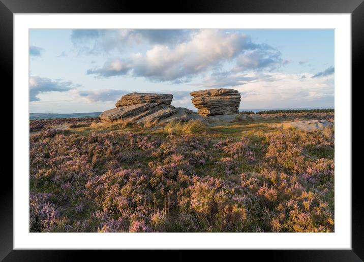 Burbage Rocks Heather Framed Mounted Print by James Grant