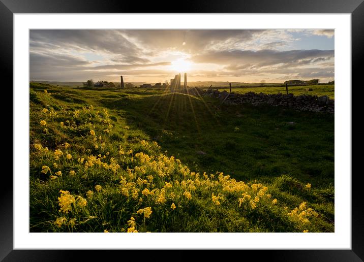 Magpie Mine Cowslips Framed Mounted Print by James Grant