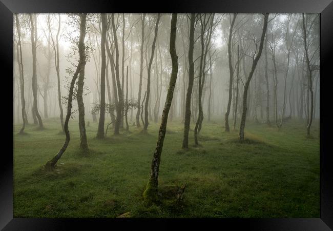 Bolehill Woods in the Fog  Framed Print by James Grant