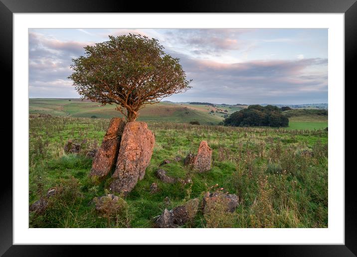 Stuck Between A Rock and a Hard Place  Framed Mounted Print by James Grant