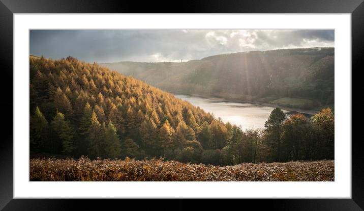 Abbey Bank Autumn  Framed Mounted Print by James Grant