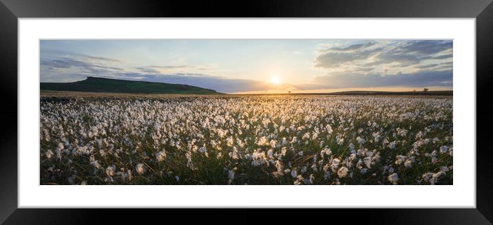 Upper Burbage Cottongrass  Framed Mounted Print by James Grant