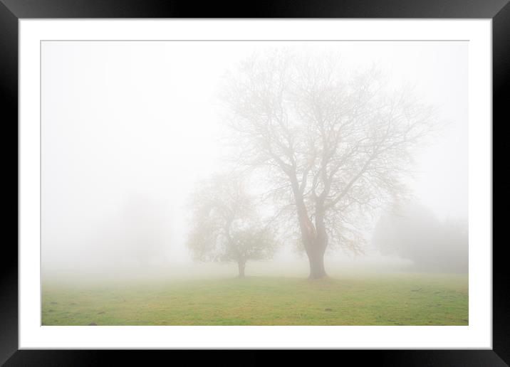 Stanton Moor Trees in the Mist  Framed Mounted Print by James Grant