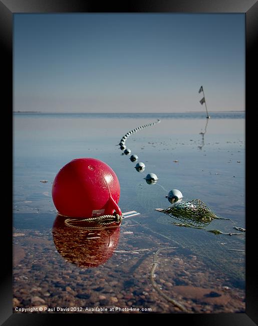 Oh buoy! Framed Print by Paul Davis