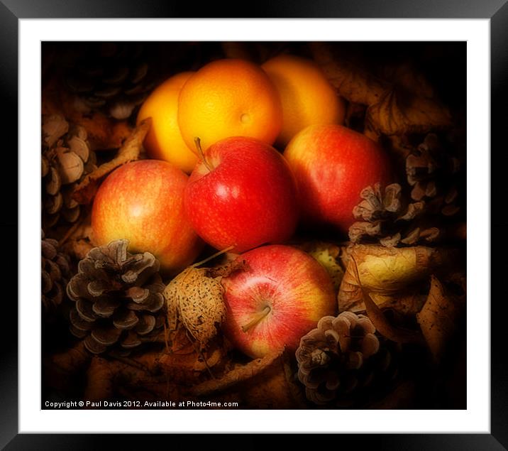 Apples and Oranges Framed Mounted Print by Paul Davis