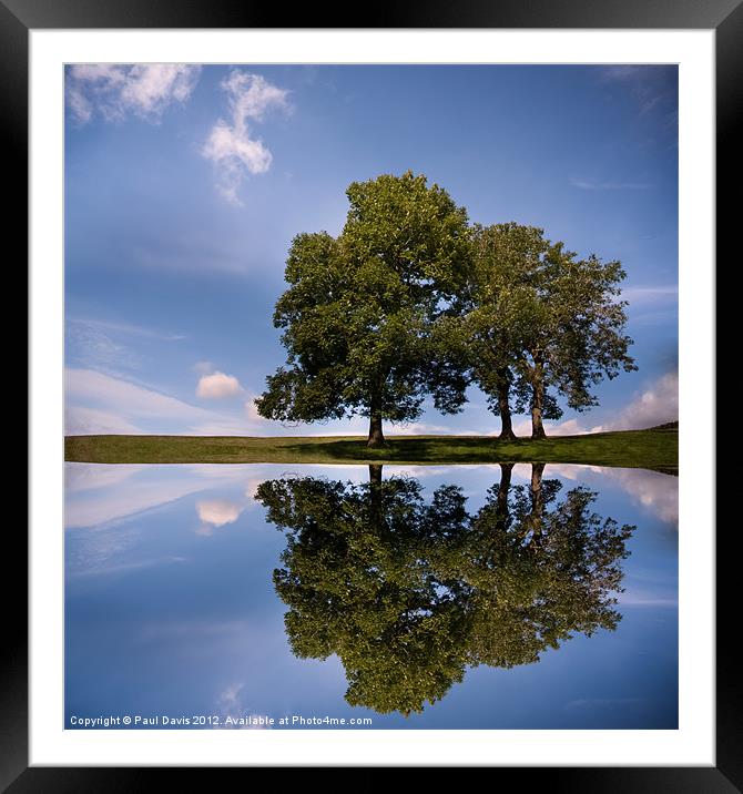 Three trees Framed Mounted Print by Paul Davis