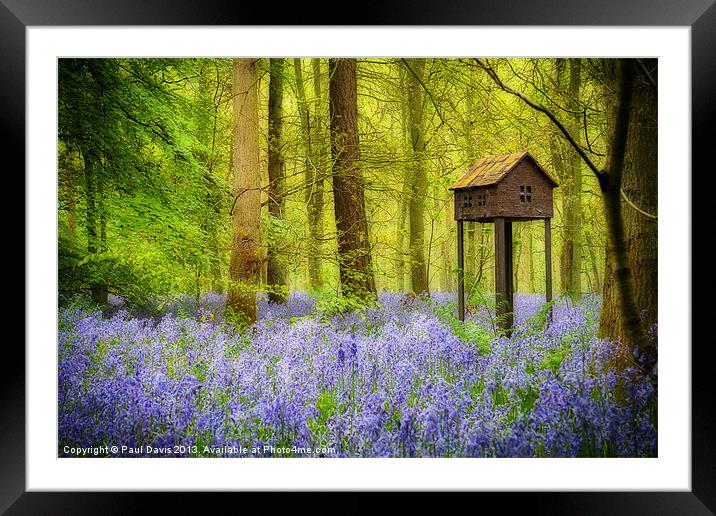 Birdhouse with view Framed Mounted Print by Paul Davis