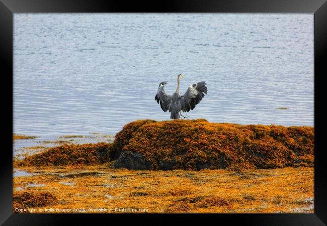 Mr Heron Framed Print by kelly Draper