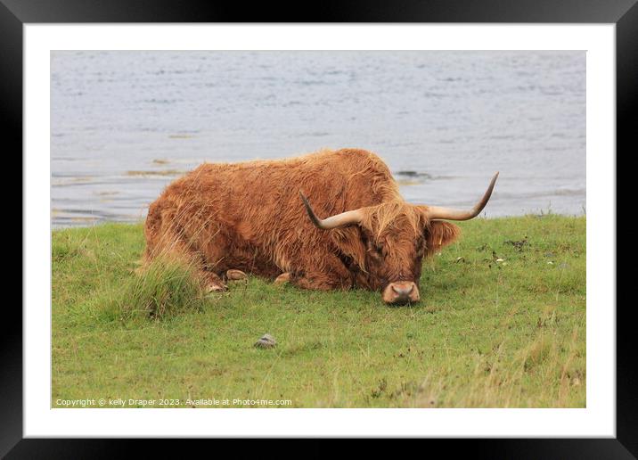Lazy Old Coo Framed Mounted Print by kelly Draper