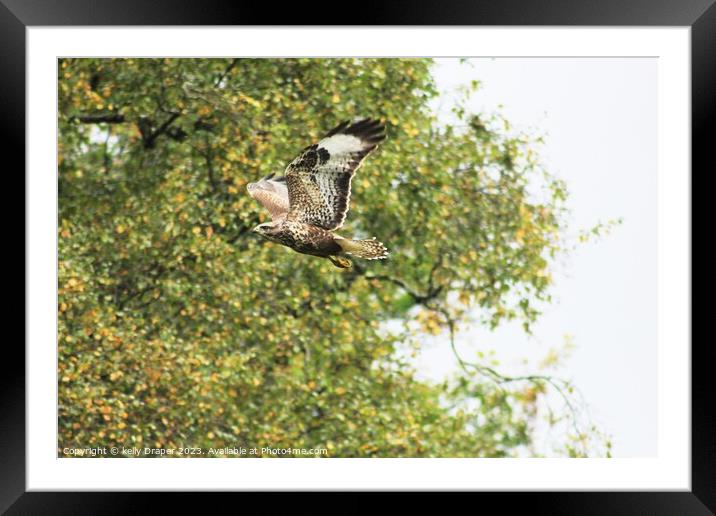 Fly Free  Framed Mounted Print by kelly Draper
