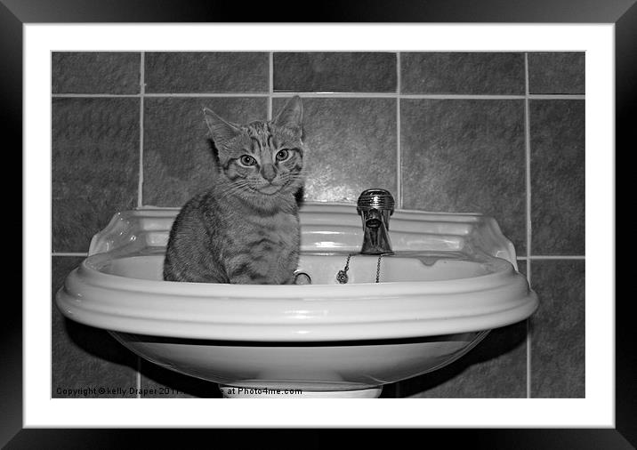 Is It Time For My Wash! Framed Mounted Print by kelly Draper