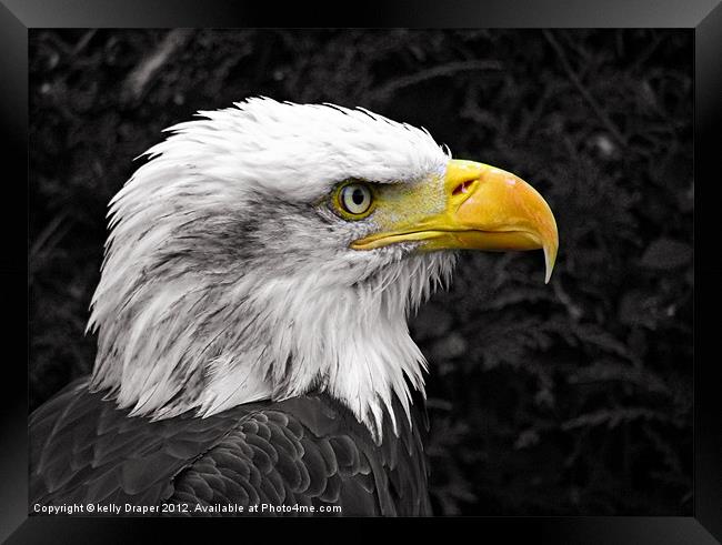 Liberty The Eagle Framed Print by kelly Draper