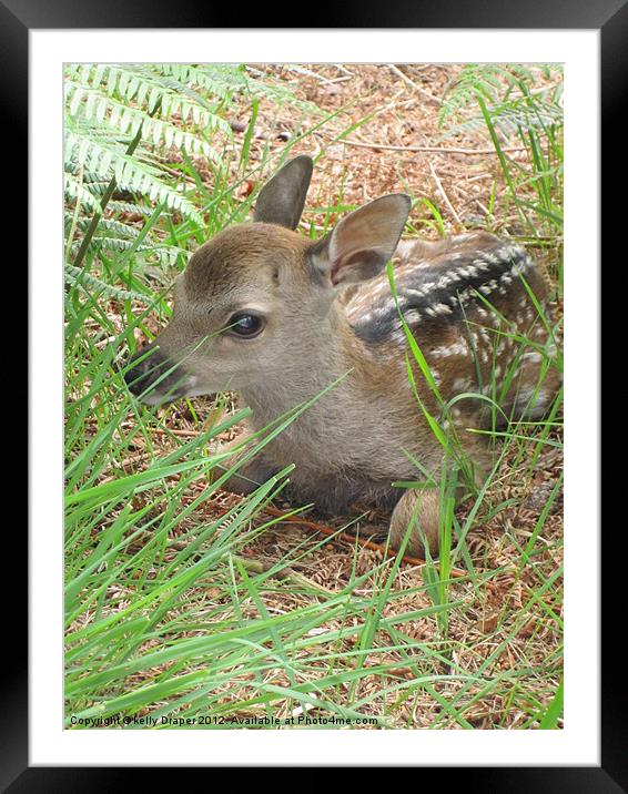 Hiding Bambi Framed Mounted Print by kelly Draper