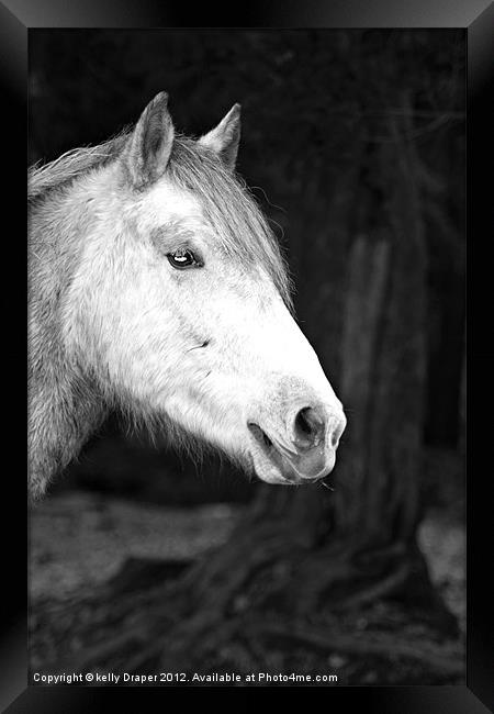 Grey Pony Framed Print by kelly Draper