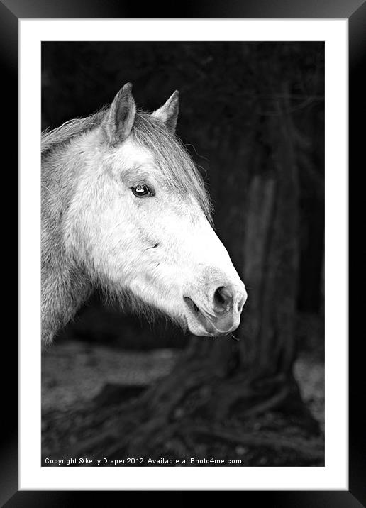 Grey Pony Framed Mounted Print by kelly Draper